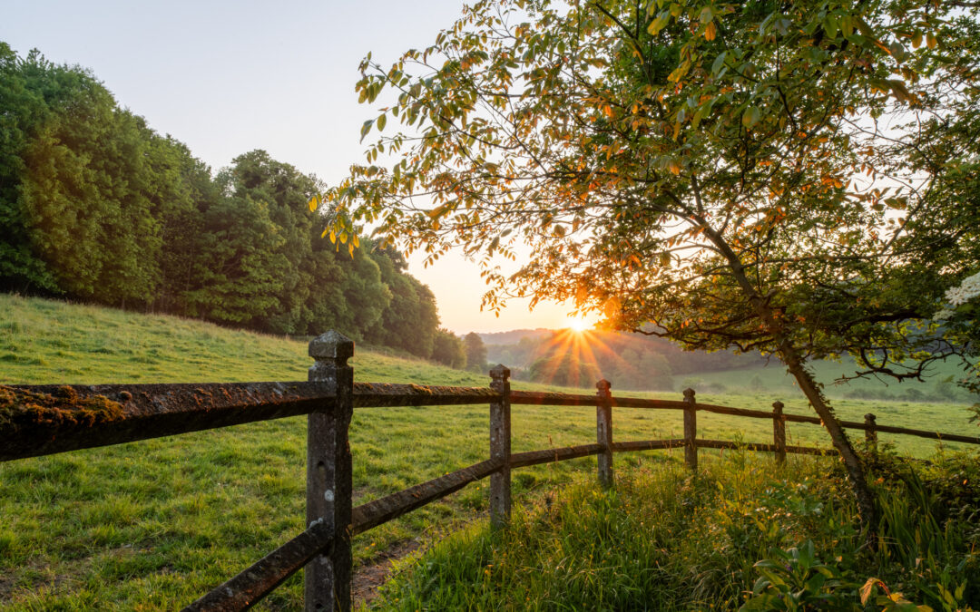 Un matin dans le Pays d’Auge