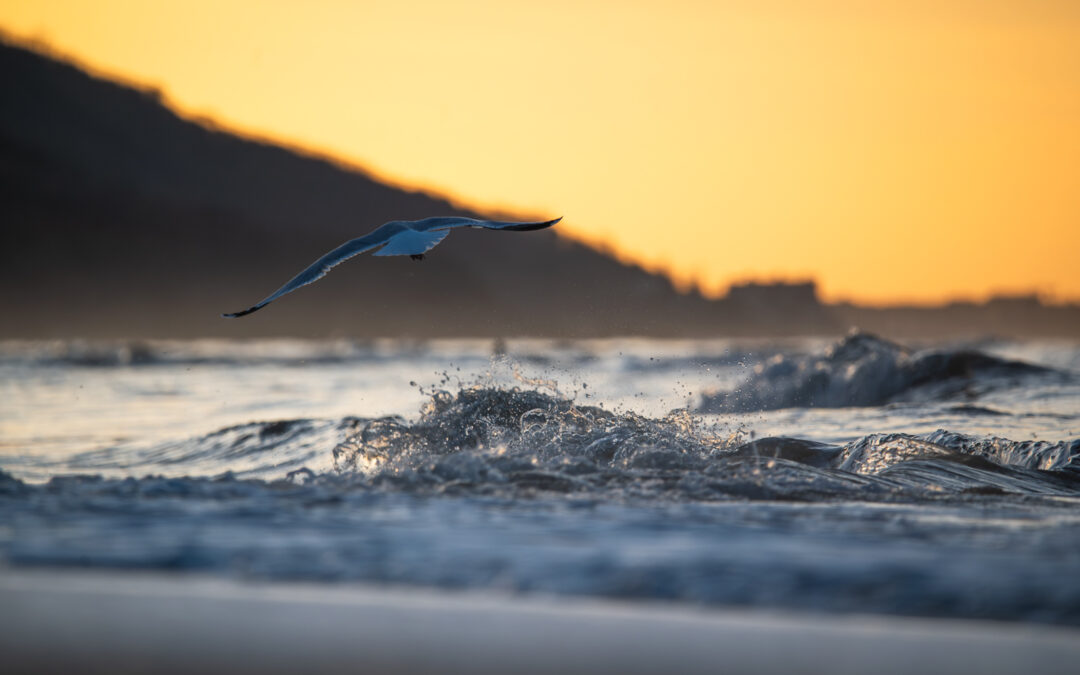 Nikon Z5II sur la côte Normande